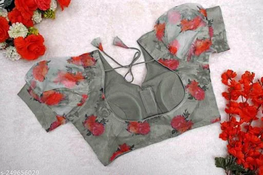 Saree Blouse Design13