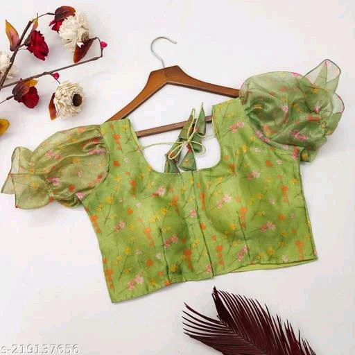 Saree Blouse Design17