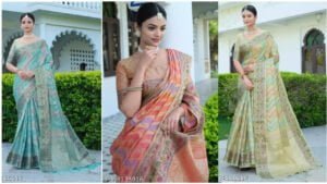 6 Beautiful Soft Organza Sarees with Meena Work