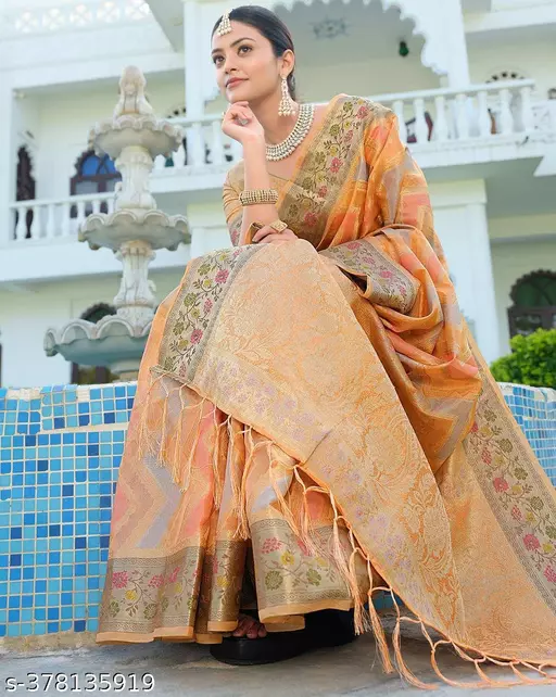 Soft Organza Sarees with Meena Work