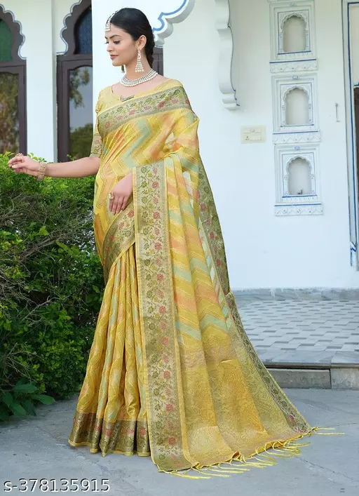 Soft Organza Saree