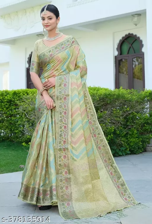 Soft Organza Saree